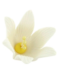 24667 - ESTRELINHAS EM AÇÚCAR(100)