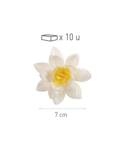 126187 - FLORES OBREIA BRANCAS 7 CM (10 UNID)