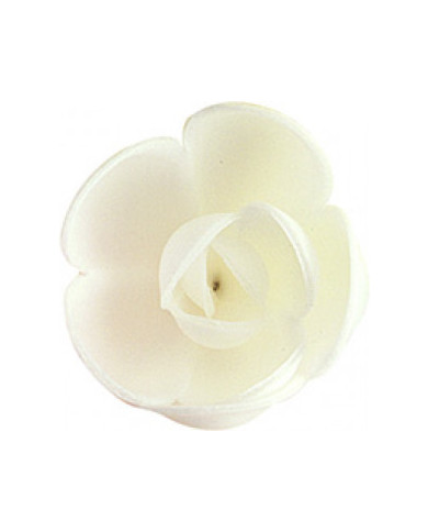 126007 - ROSA PEQ BRANCA (72)