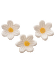 CAMISAS C/12 - 10402002