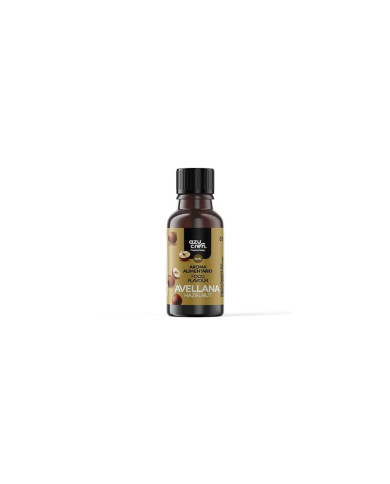 AZ00289 - AROMA CONCENTRADO DE AVELÃ 10ML