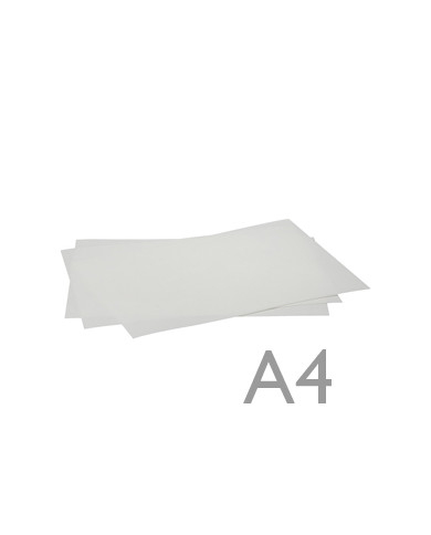 Folhas de Obreia -13501