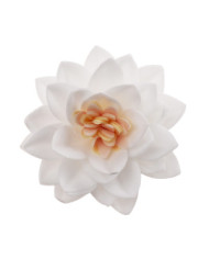 Mini Flores em Obreia - 126159