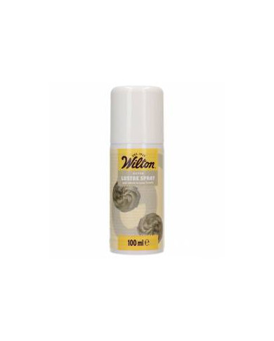 DE98796 - SPRAY BRILHO PRATA 100 ML