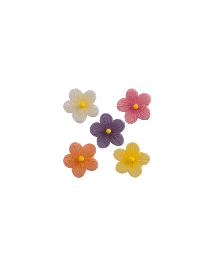 FLOR CLORIDA - REFº 210046