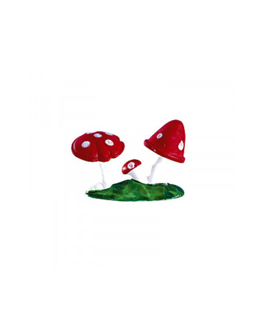 350135 - COGUMELO PL C/BASE