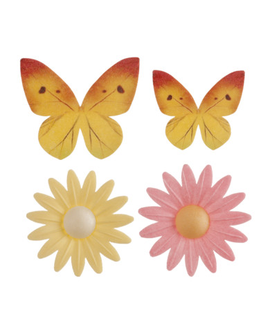 Margaridas e Borboletas  - 166017