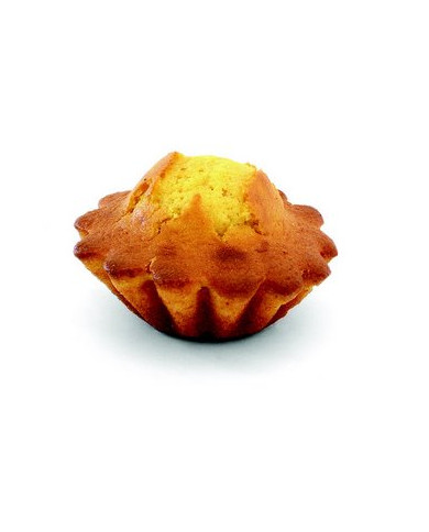 LIZQUEQUES MIX  15 Kg