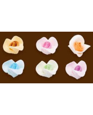 ROSA AROMA PASTEL C/42 - 10400386