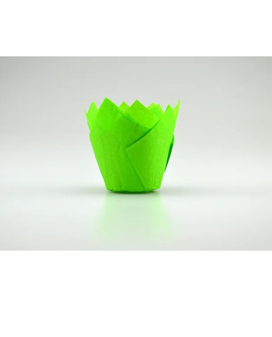 TULIPAS VERDES C/100 UN