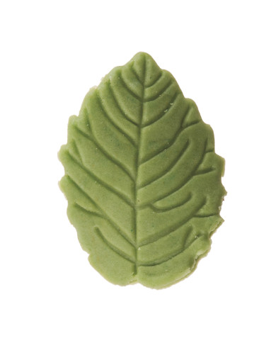 FOLHAS AÇÚCAR VERDES OLIVA (200) - 205156