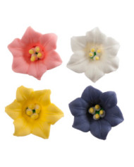 210013 - FLOR LIRIO COR SORTIDA EM AÇÚCAR 4CM (40 UNIDS)