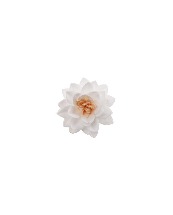 Flor de Loto - 126155