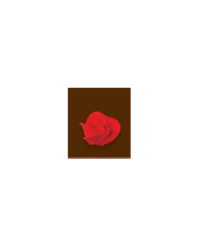 ROSA BAIXA 03 C/35 - 10400112V