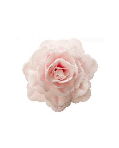 Rosa Cor de Rosa grande - 126140