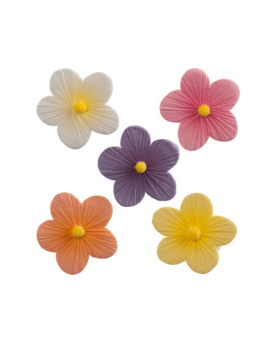 FLOR CLORIDA - REFº 210046