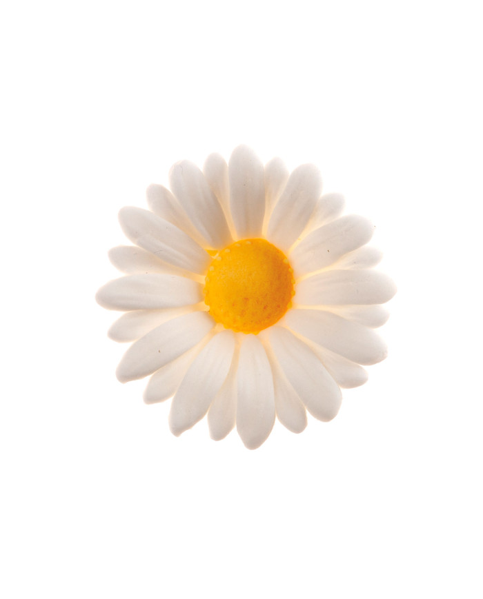 210130 - MARGARIDA DE ACÚCAR Ø 4,5 CM (48UN)