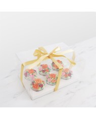 CAIXA TRANSPARENTE 6 CUPCAKES - CCB700