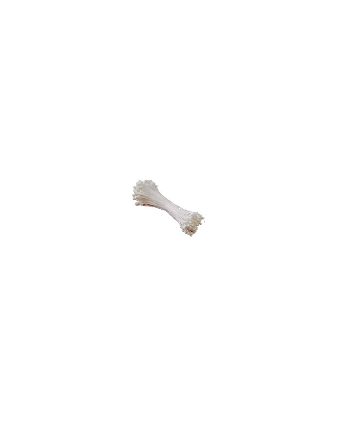 40-W123 - STAMEN MIDIUM DULL WHITE 144 PCS