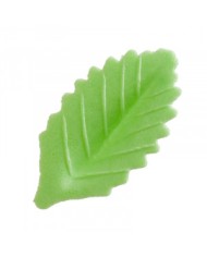 Folhas Verdes - 115013