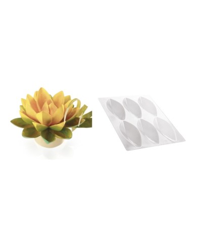 20-1010 - KIT LOTUS FLOWER BIG MOULD