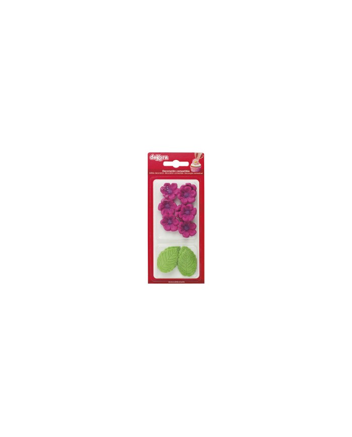 230064 - BLISTER AÇÚCAR 8 FLORES FUCSIA E 5 FOLHAS
