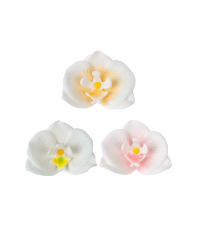 ORQUIDEAS AÇÚCAR CORES SORTIDAS 7CM - 210119