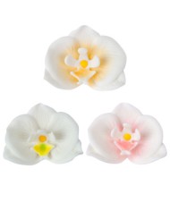 ROSAS AÇÚCAR VERMELHAS 3CM C/48 - 205158