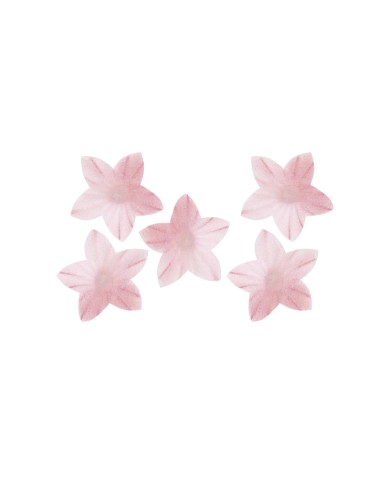 126167 - MINI FLOR OBREIA ROSA 2CM