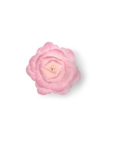 11370B - ROSA DE OBREIA COR DE ROSA D 5,5(18 UNID)