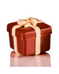 20PR01 - CHOCOLATE GIFT PACK 2 MOLDES