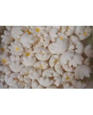 MIOSÓTIS SIMPLES C/120 BRANCO - 10400337B