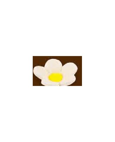 MIOSÓTIS SIMPLES C/120 BRANCO - 10400337B