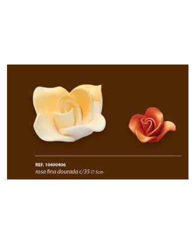 ROSA FINA DOURADA C/35 - 10400406