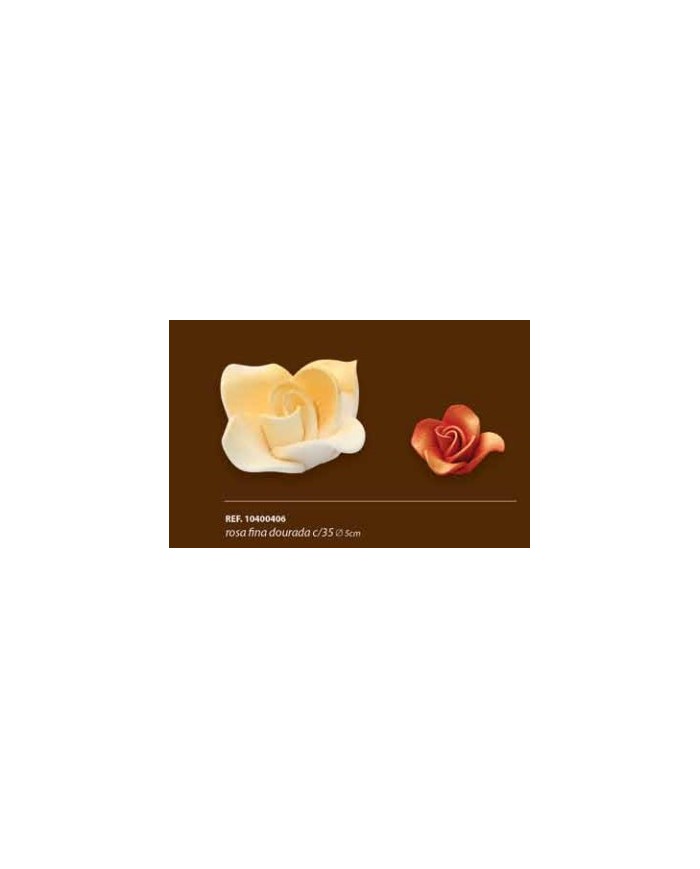 ROSA FINA DOURADA C/35 - 10400406