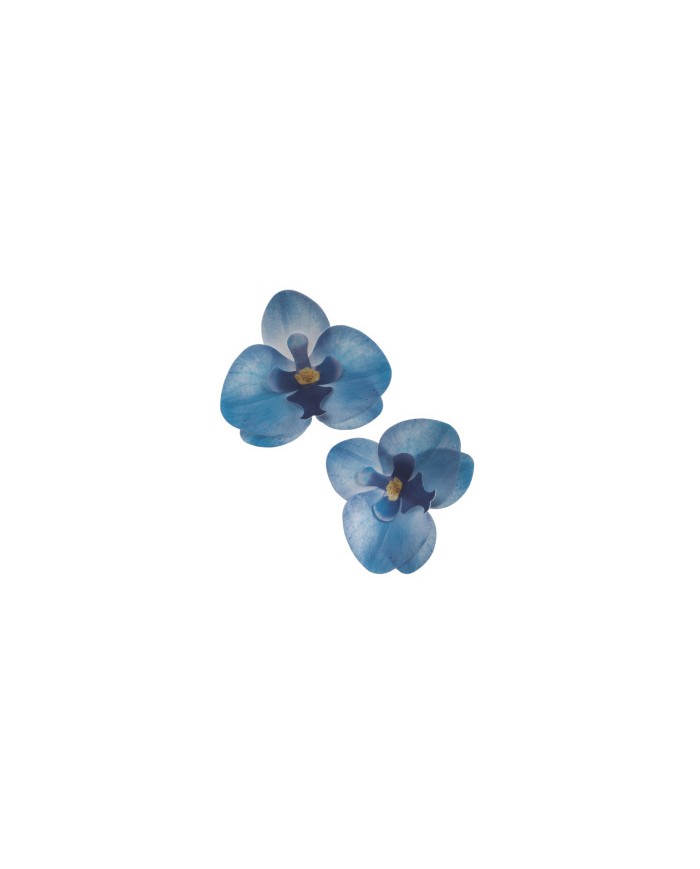Orquídea Azul- 126151