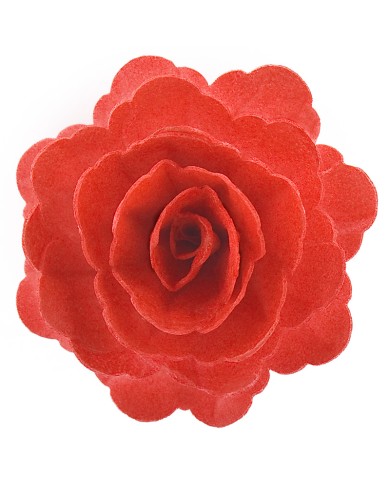 Rosa Vermelha em Obreia - 126141