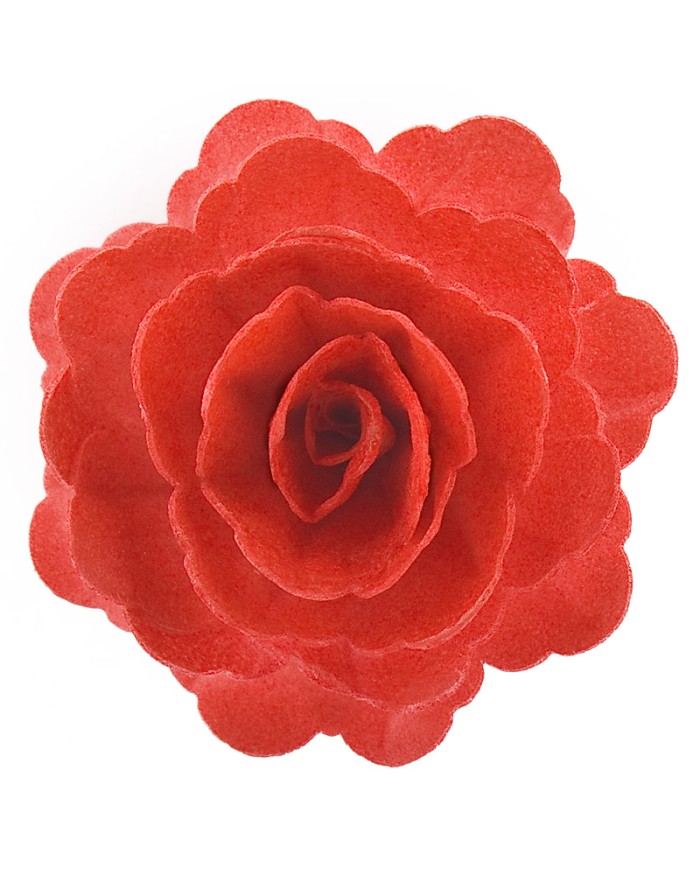 Rosa Vermelha em Obreia - 126141