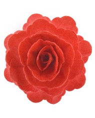 Rosa Vermelha em Obreia - 126141