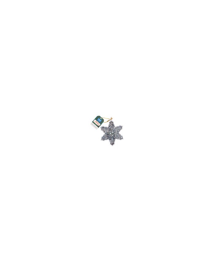 CH25SKS002 - NEVE NATAL 76 GR