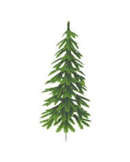 545088 - TRANSFER DE NATAL 12 UN
