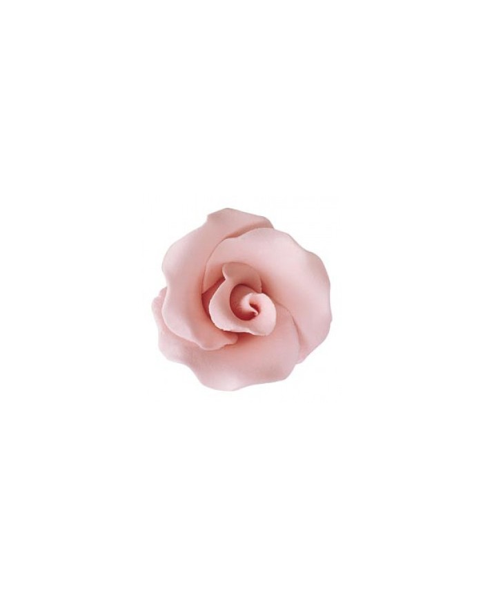 210058 - ROSA MÉDIA ESPANHOLA AÇÚCAR ROSA 4CM