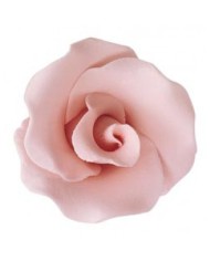ROSINHA C/ 150 - 10400139