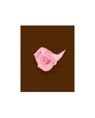 MIOSÓTIS SIMPLES C/120 ROSA - 10400337R