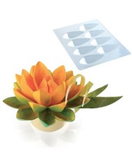 21MA1980 - MOLDE QUADRADO  PRALINE 25X25H 13MM BPA FREE (24 UNID)