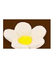 MIOSÓTIS SIMPLES C/120 BRANCO - 10400337B