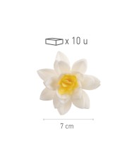 126056 - ROSA OBREIA ESPECIAL MINI SORTIDA C/FOLHA 4CM (80)