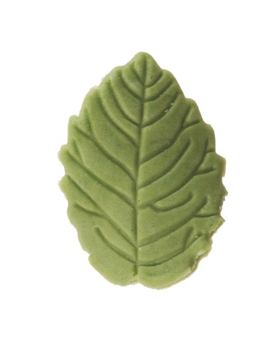 FOLHAS AÇÚCAR VERDES OLIVA (200) - 205156