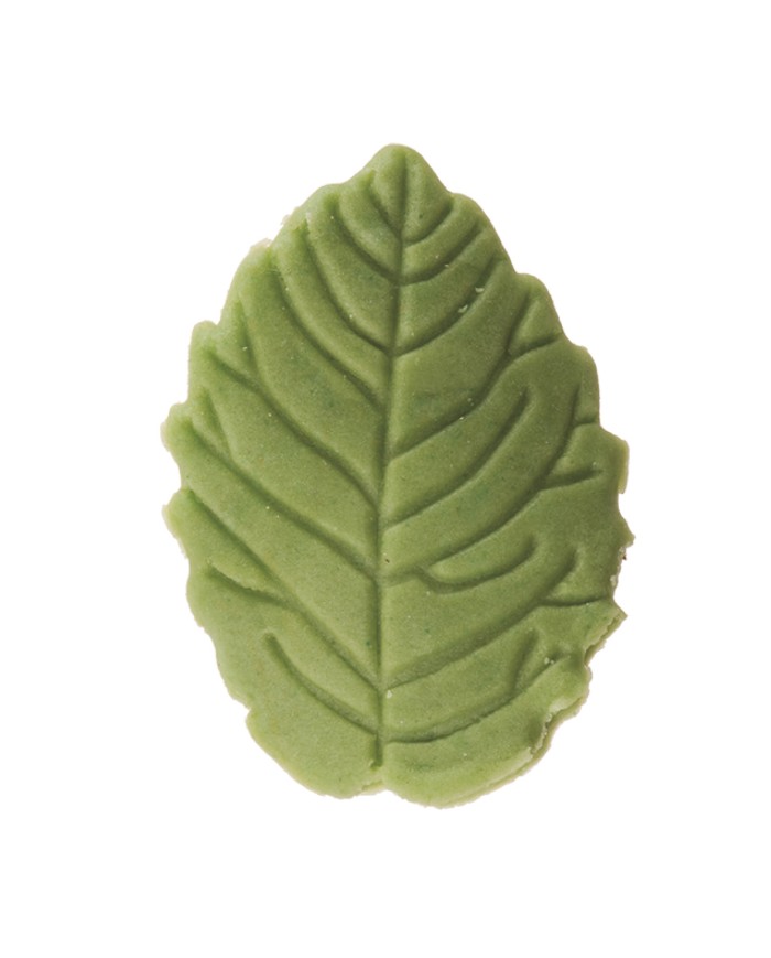 FOLHAS AÇÚCAR VERDES OLIVA (200) - 205156