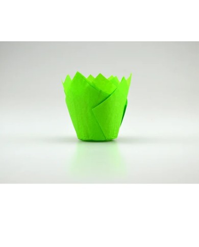 TULIPAS VERDES C/100 UN